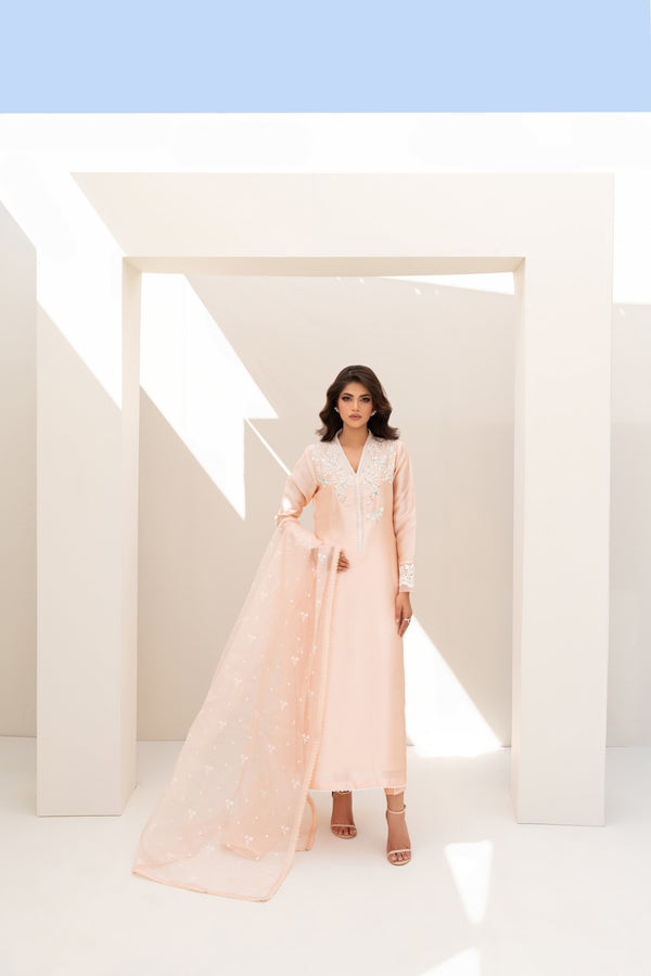 RIA  - Full Set RTD